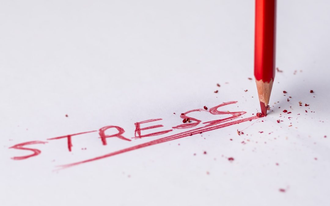 11 idées reçues sur le stress (partie 2)